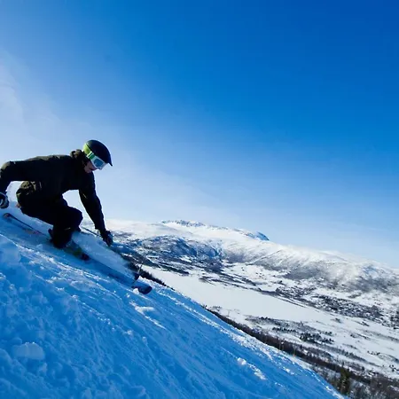 Mountain Geilo